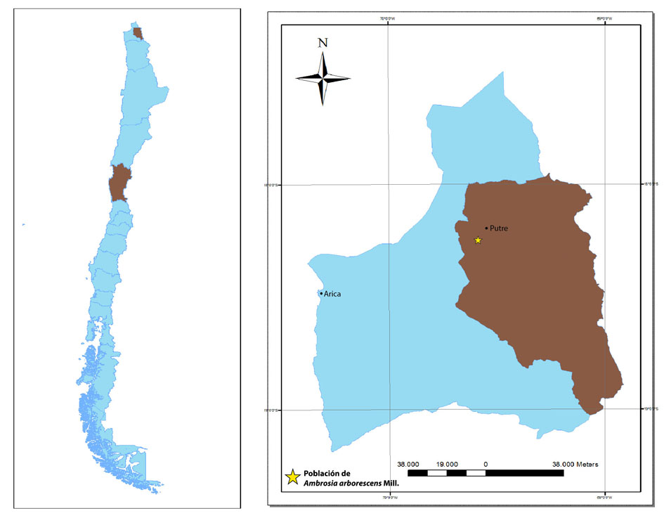 figura 2